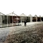 Avro-sheds-at-Shoreham